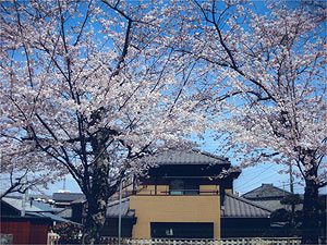 香取市佐原 T様邸