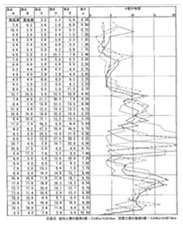 地盤調査結果