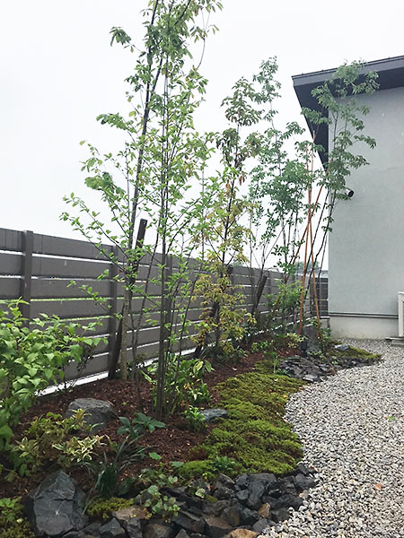 建物とライフスタイルに調和した外構