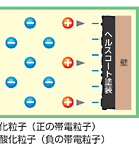 ヘルスコート(図1)