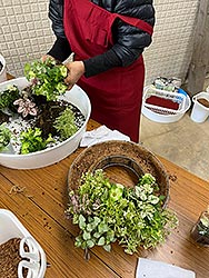 花苗、野菜苗の朝市の様子