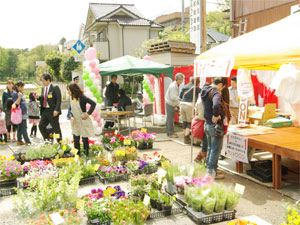 SHOWA祭(2010春祭り)