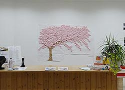 満開の桜