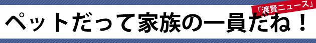 ペットだって家族の一員だね！～渡賢ニュース