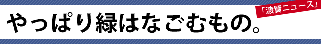 やっぱり緑はなごむもの。～渡賢ニュース