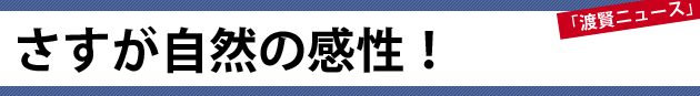 さすが自然の感性！～渡賢ニュース